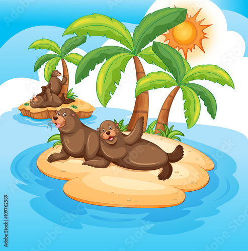 Seals living on island © GraphicsRF