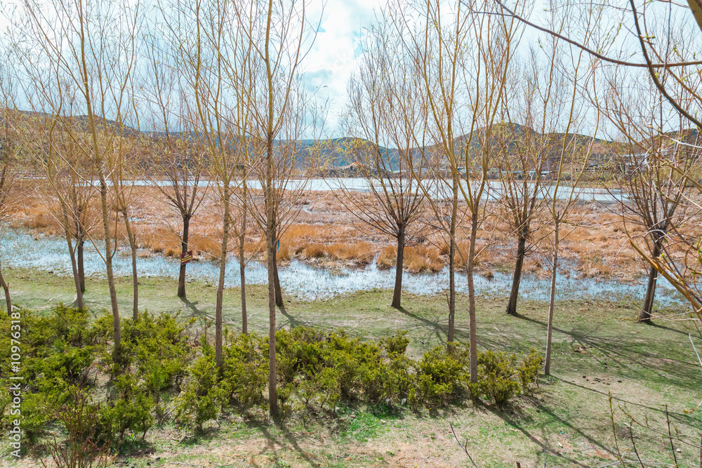 Beautiful spring landscape on an overcast Beautiful spring landscape on an overcast