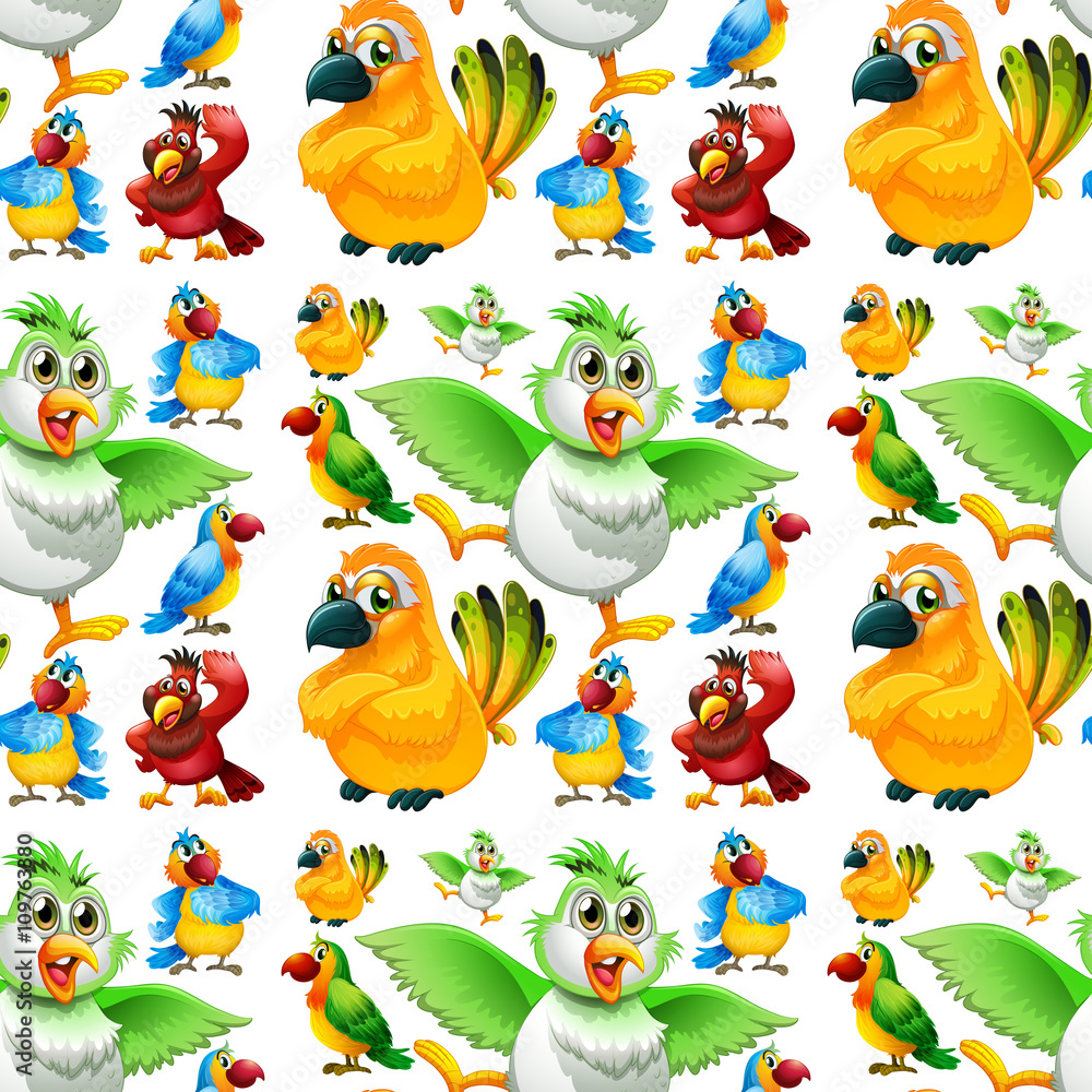 Obraz premium Seamless parrots with different color feathers