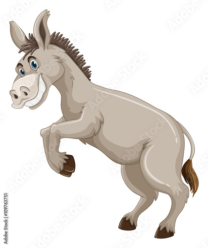 Donkey with silly face