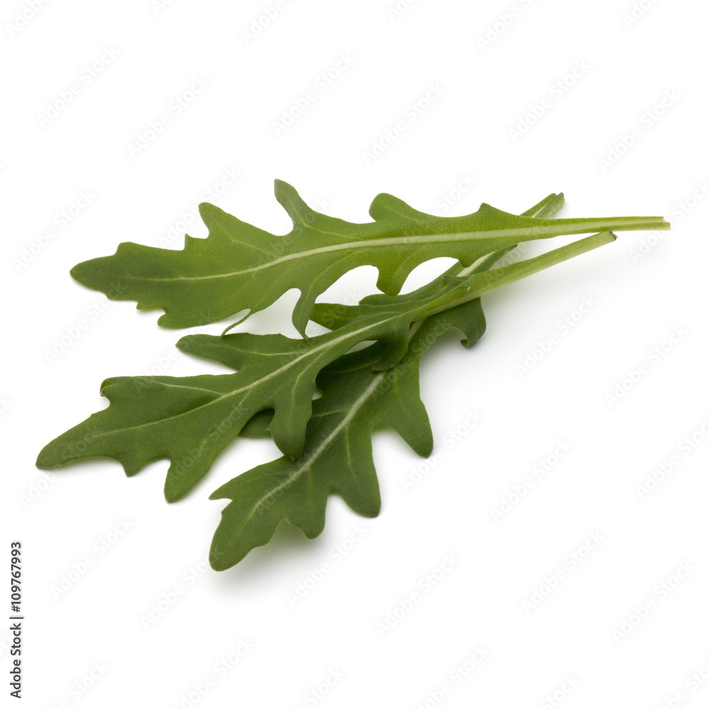 Sweet rucola salad or rocket lettuce leaves isolated on white ba Sweet rucola salad or rocket lettuce leaves isolated on white ba