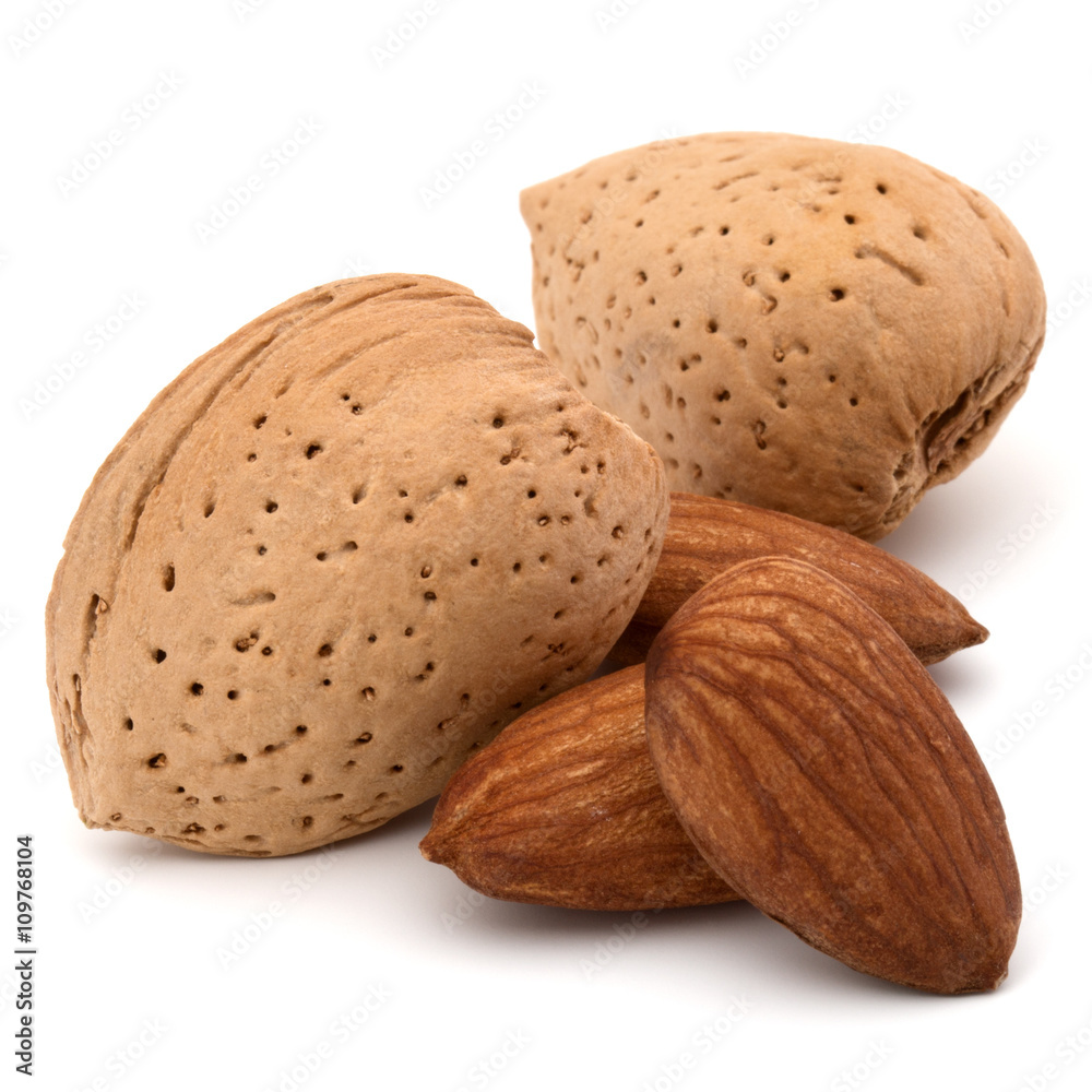 Almond nut in shell and shelled isolated on white background clo Almond nut in shell and shelled isolated on white background clo