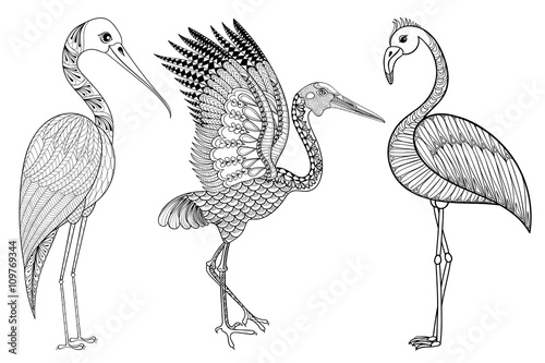 Zentangle Hand drawn Stork, Flamingo, Brolga for adult antistres photo