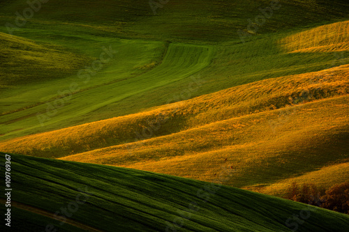 Idyllic view of hilly farmland in Tuscany in beautiful morning light, Italy. Landscape in the Italy. Morning light in the field. © ondrejprosicky