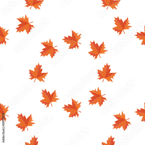 Autumn leaves on the white background.