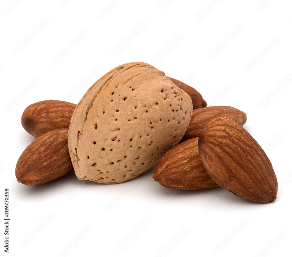 Almond nut in shell and shelled isolated on white background clo Almond nut in shell and shelled isolated on white background clo