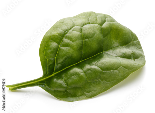 Baby spinach leaves isolated on white background cutout