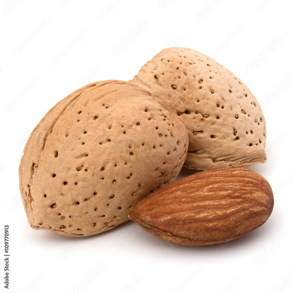 Almond nut in shell and shelled isolated on white background clo Almond nut in shell and shelled isolated on white background clo