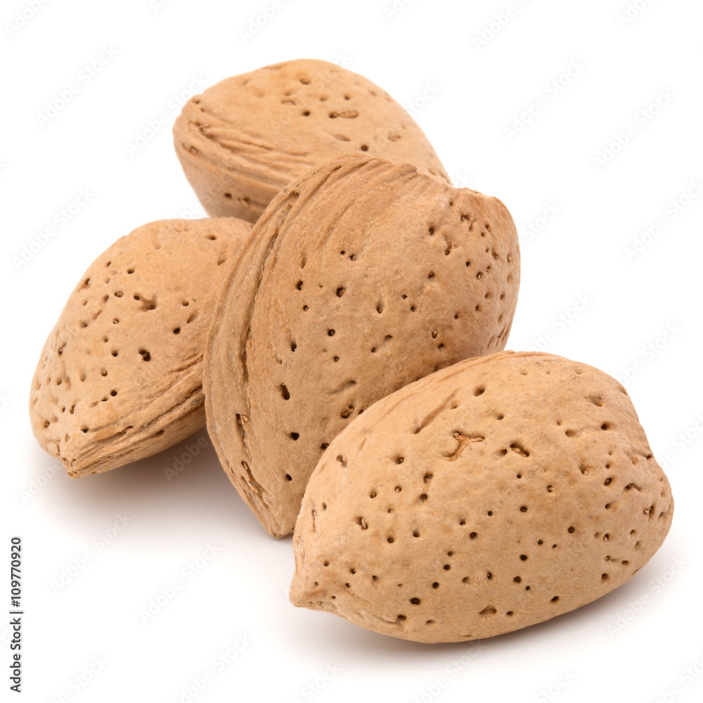 Almond nut in shell isolated on white background close up Almond nut in shell isolated on white background close up