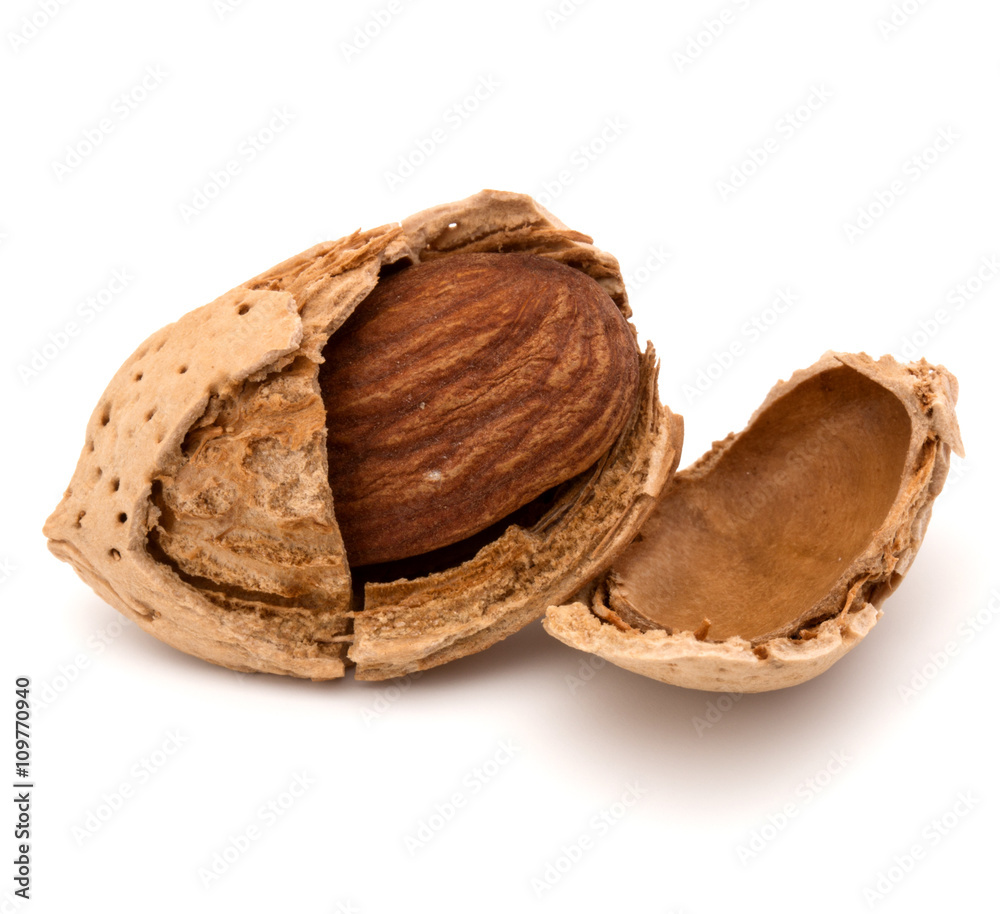 Almond nut in shell and shelled isolated on white background clo Almond nut in shell and shelled isolated on white background clo