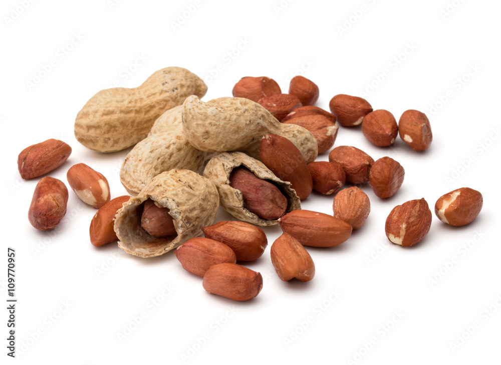 Opened and whole peanut or groundnut pod isolated on white backg Opened and whole peanut or groundnut pod isolated on white backg
