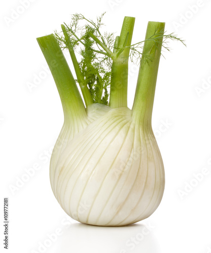 Fresh fennel bulb isolated on white background close up