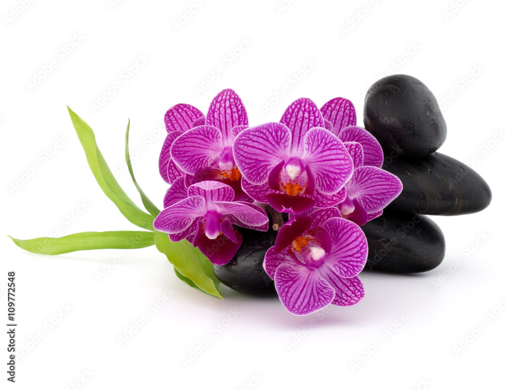 Fototapeta premium Zen pebbles and orchid flower. Stone spa and healthcare concept.