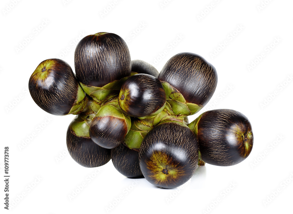 Fototapeta premium Asian Palmyra palm isolated on white background