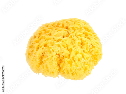 Yellow natural sponge isolated on white