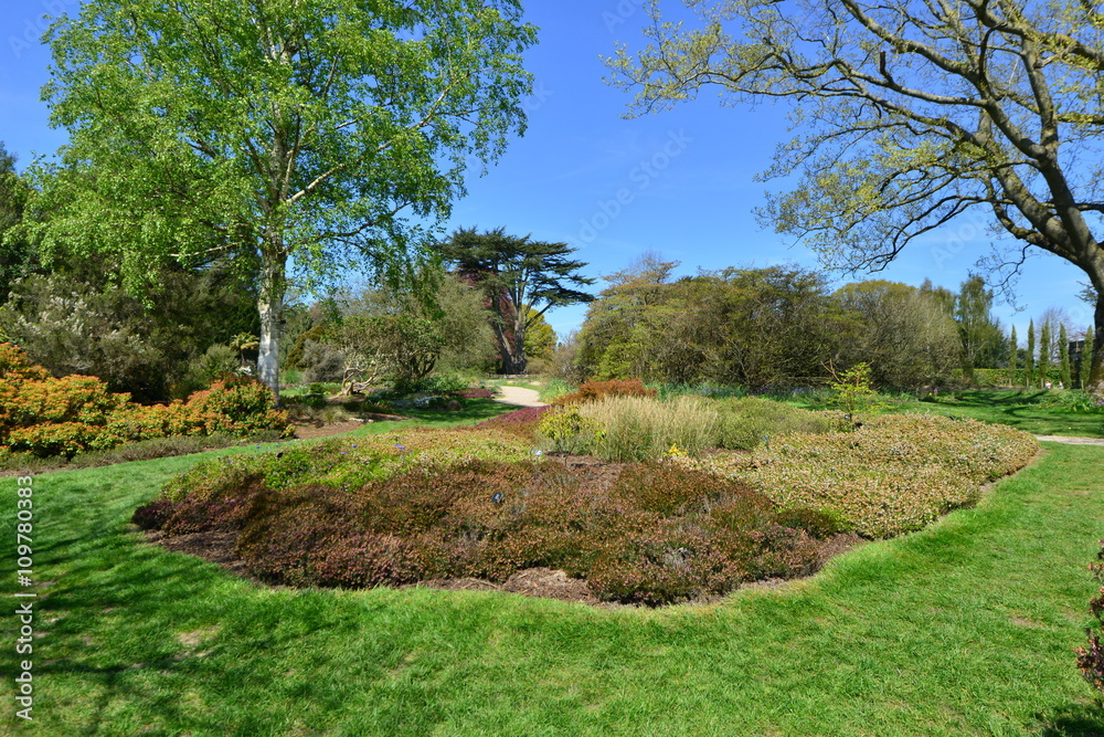 An English country garden in early springtime. 
