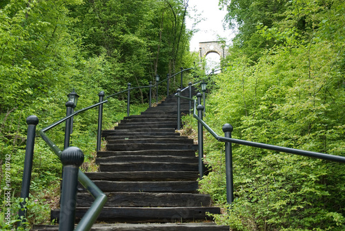 Wooden stairs through the forest