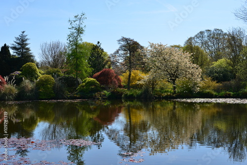 An English country garden in early springtime. 