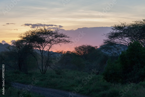 Savanna plain with acacia trees at dawn against distance view on mountain. Serengeti National Park, Tanzania, Africa. 