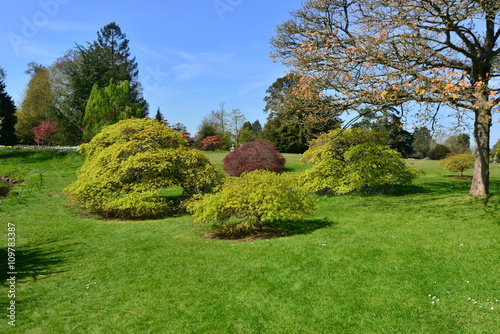 An English country garden in early springtime. 