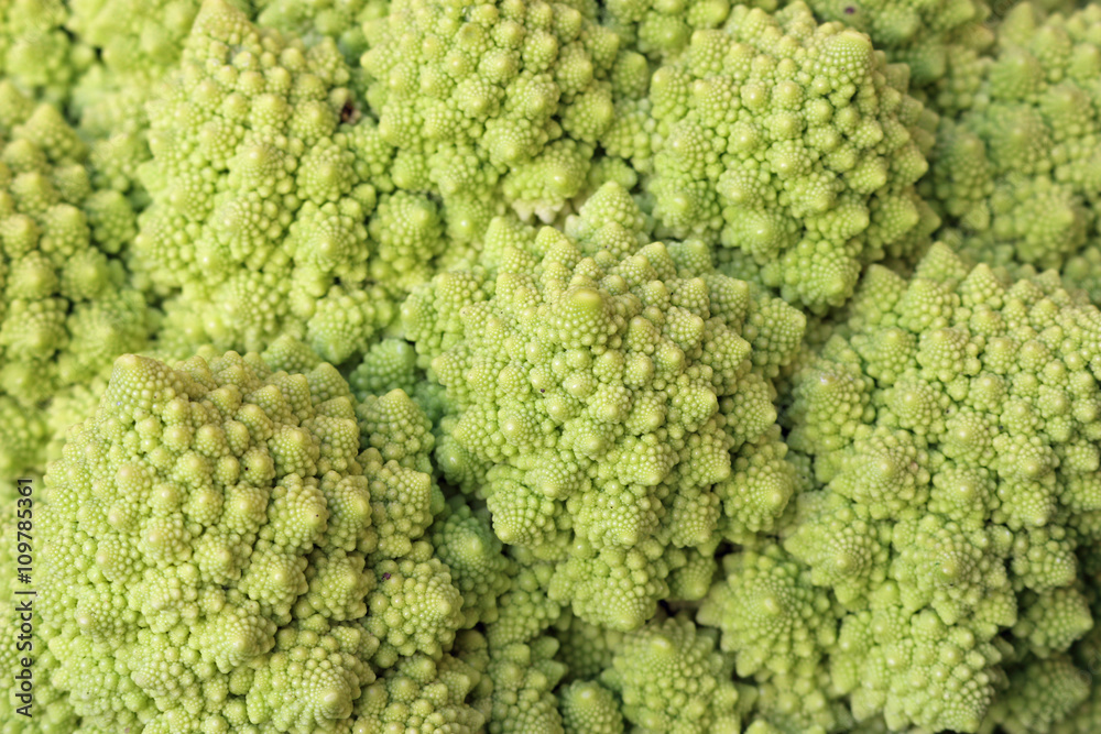 Romanesco broccoli Romanesco broccoli