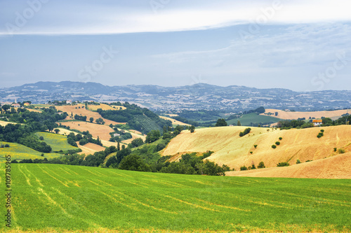 Country landscape in Marches  Italy 