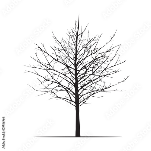 Shape of black Tree. Vector Illustration.