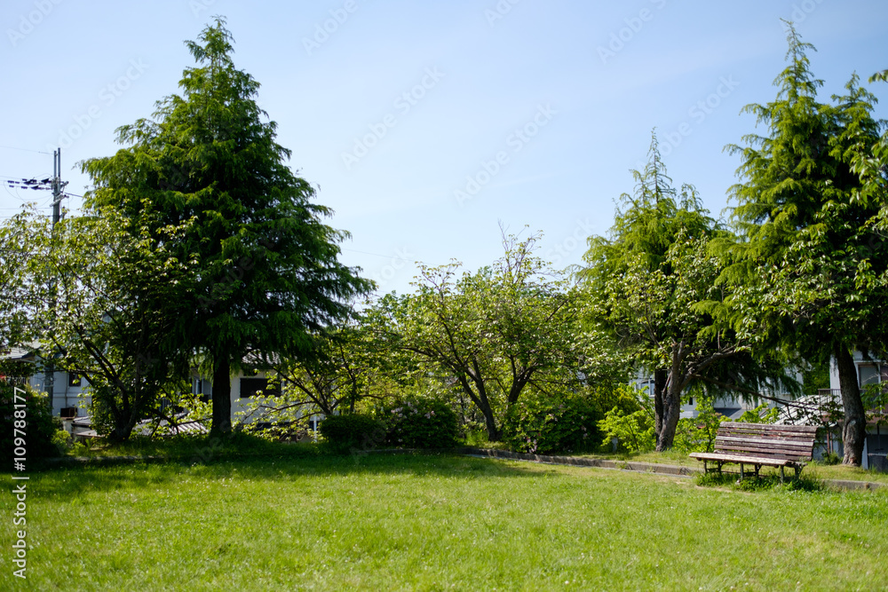 Fototapeta premium ベンチのある公園の風景