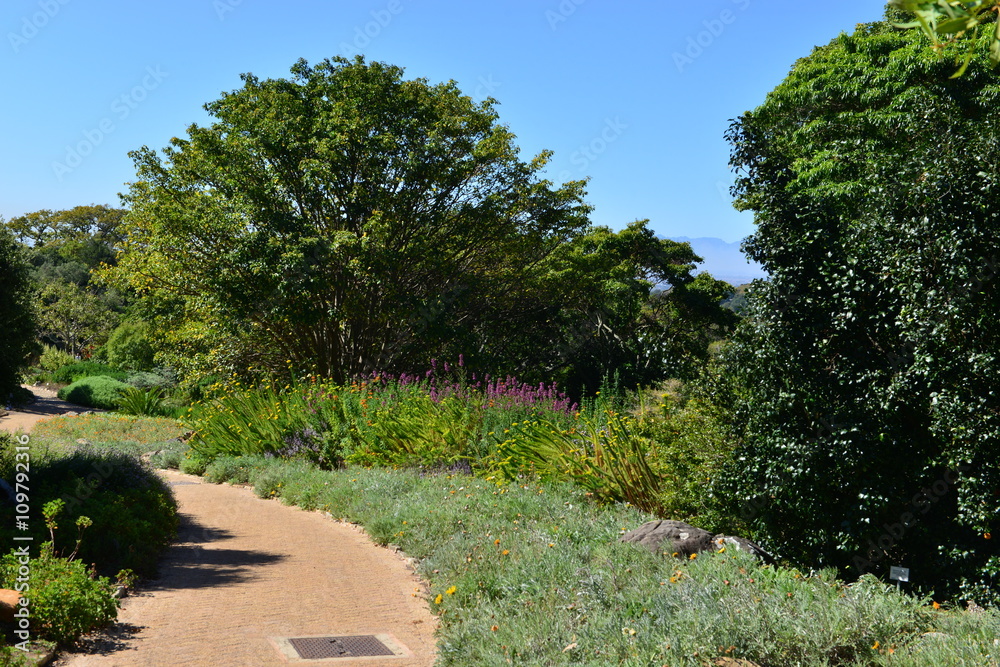 Botanical gardens at the Western Cape of South Africa
