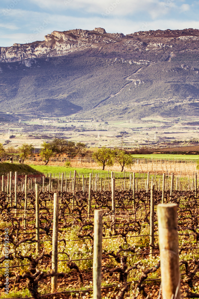 Briones