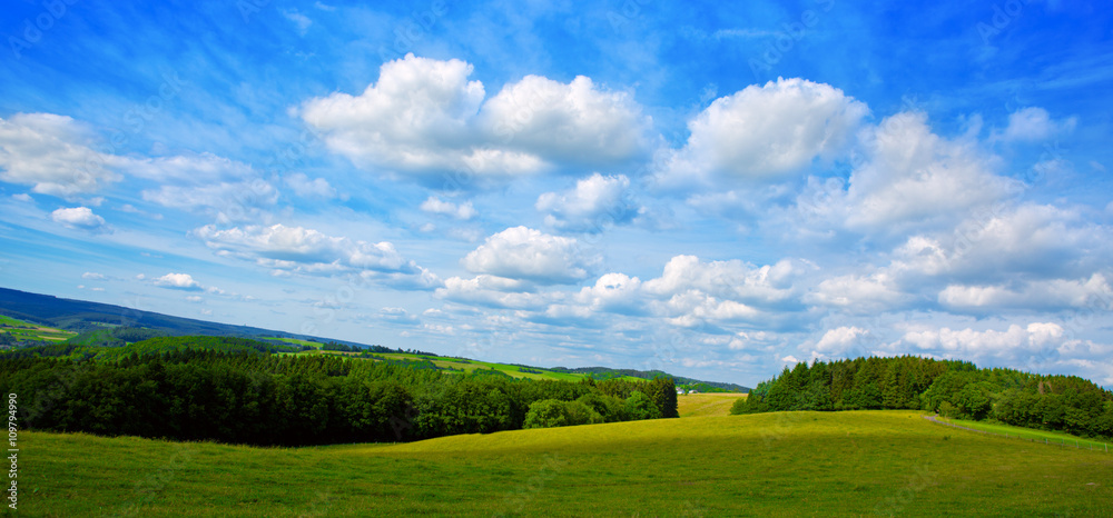 Summer landscape with field and clouds.