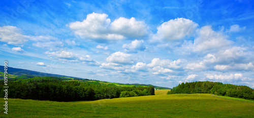 Fototapeta Naklejka Na Ścianę i Meble -  Summer landscape with field and clouds.