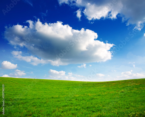 Summer landscape with green grass and blue sky.