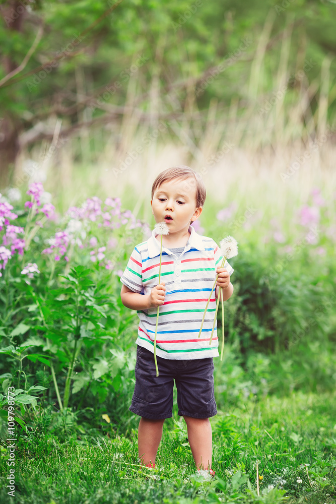 Portrait of a cute funny little boy toddler standing in the forest field meadow with dandelion flowers in hands and blowing them on a bright summer day, summer fun, copyspace for text Portrait of a cute funny little boy toddler standing in the forest field meadow with dandelion flowers in hands and blowing them on a bright summer day, summer fun, copyspace for text