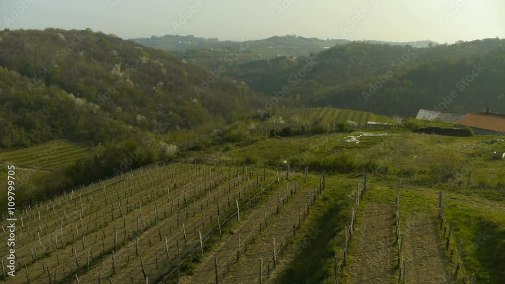 Slow mid air crossing over vineyard early in the spring with green hills at background. Shoot late afternoon.
Slow mid air crossing over vineyard early in the spring with green hills at background. Shoot late afternoon.
