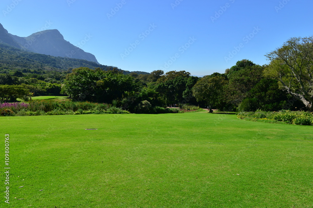 Botanical gardens at the Western Cape of South Africa
Botanical gardens at the Western Cape of South Africa