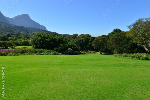 Botanical gardens at the Western Cape of South Africa 