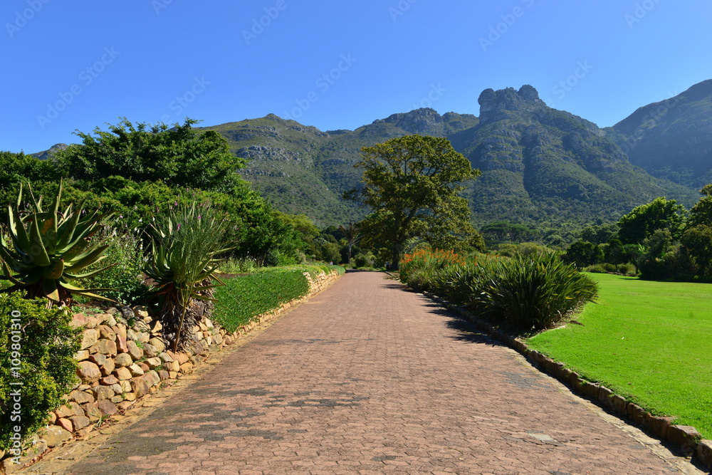Botanical gardens at the Western Cape of South Africa
