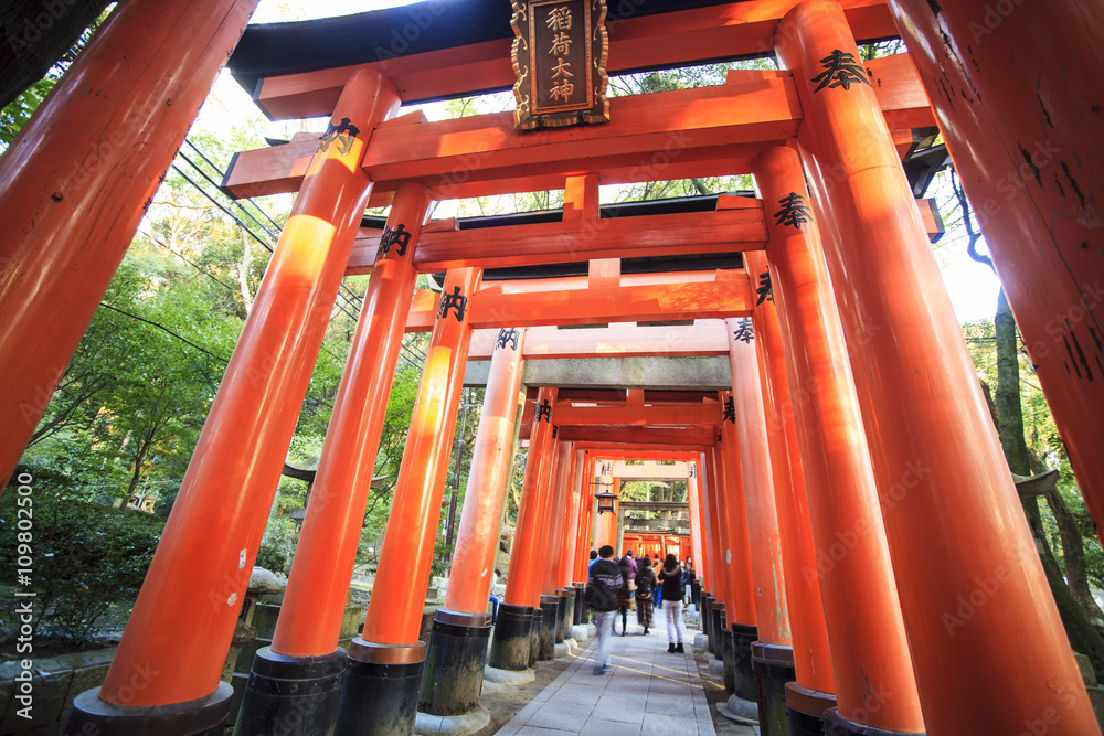 Red Tori Gate at Fushimi Inari Shrine in Kyoto, Japan, selective Red Tori Gate at Fushimi Inari Shrine in Kyoto, Japan, selective