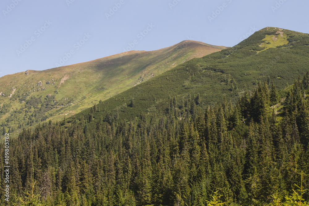 summer landscape of Marmarosy mountains range of Carpathian mountains on the Ukraine and Romania border summer landscape of Marmarosy mountains range of Carpathian mountains on the Ukraine and Romania border