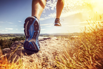 Sierkussen Joggen Trailrunner op bospad in bergen  © Brian Jackson