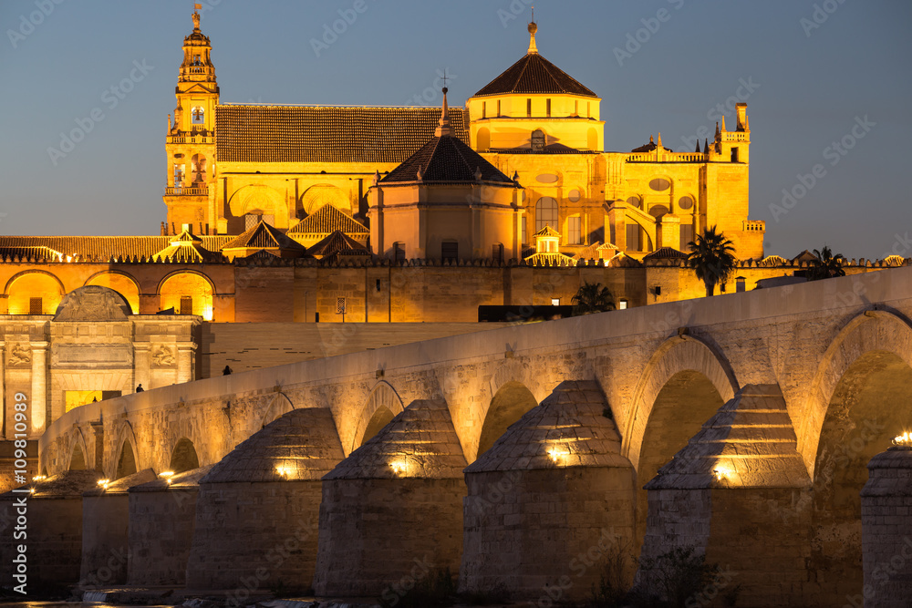 Night view of Mezquita-Catedral and Puente Romano - Mosque-Cathe
