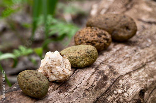 Disharmony in pebbles row
