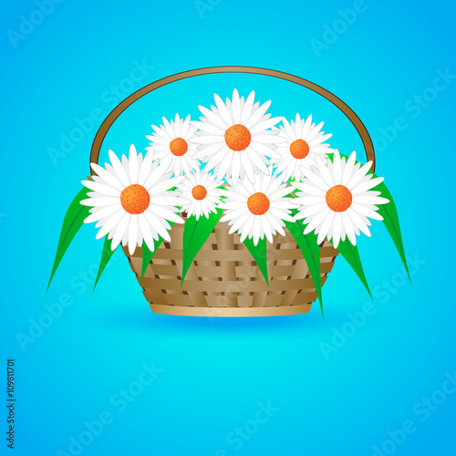 summer basket with daisies
