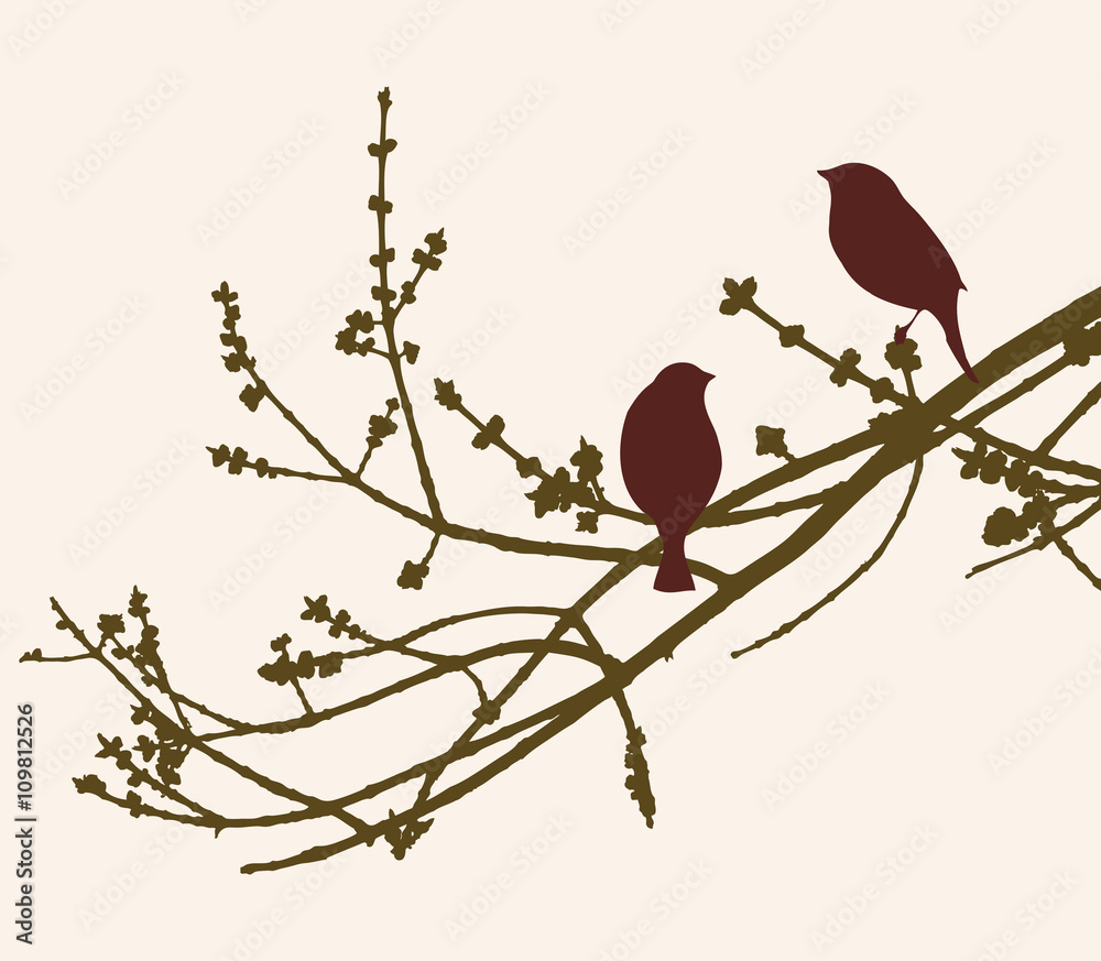 birds on the spring tree  - obrazy, fototapety, plakaty 