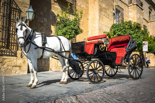 Fototapeta Naklejka Na Ścianę i Meble -  Traditional Horse and Cart at Cordoba Spain - travel background