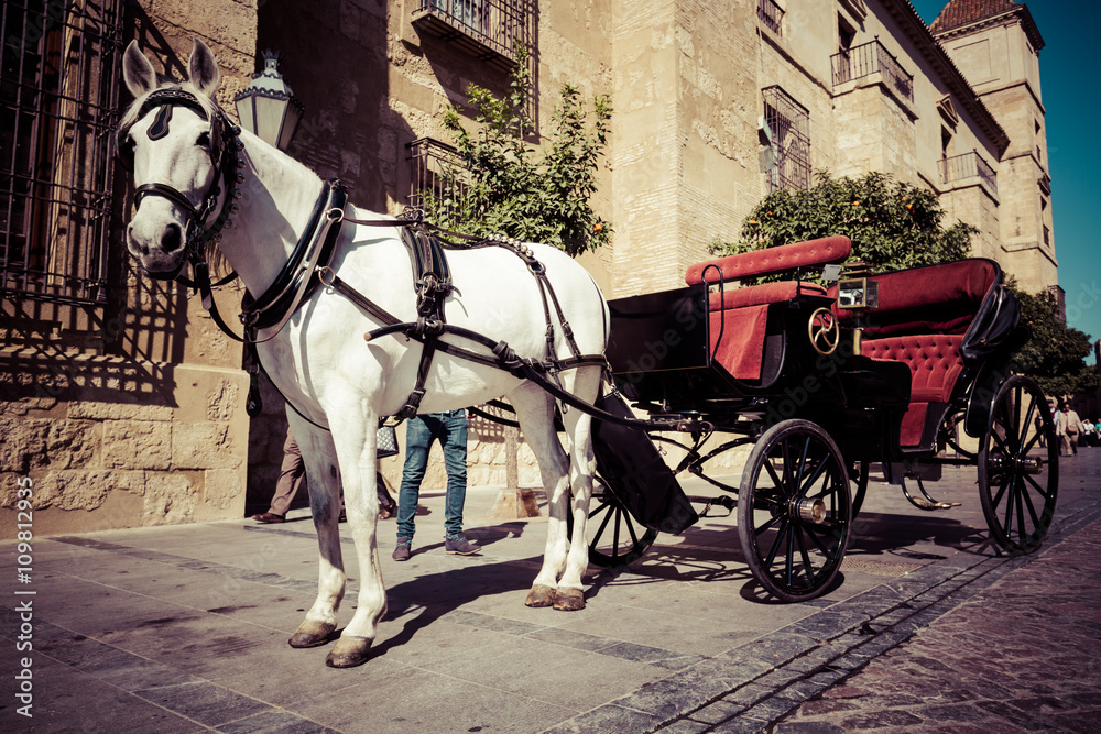 Traditional Horse and Cart at Cordoba Spain - travel background