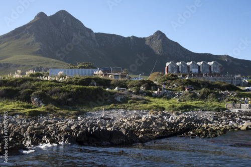 KLEINMOND HARBOR WESTERN CAPE SOUTH AFRICA - APRIL 2016 - The small harbour in the popular holiday coastal town of Kleinmond in Southern Africa photo