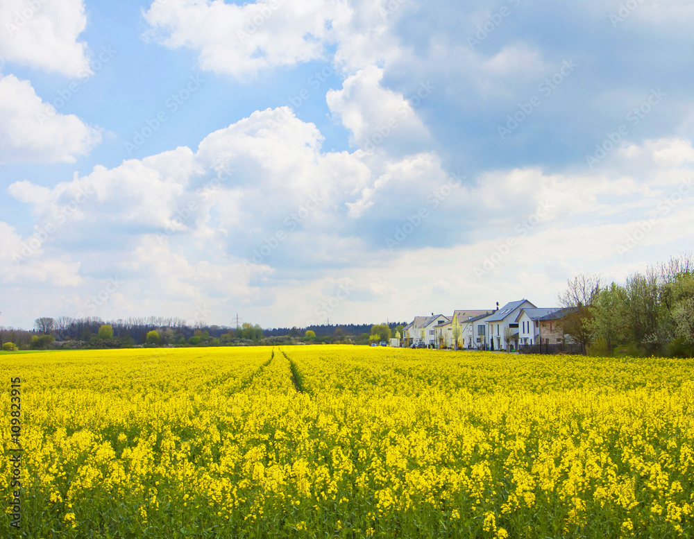 Springtime in Bavaria, houses in the middle of yellow fields of Springtime in Bavaria, houses in the middle of yellow fields of
