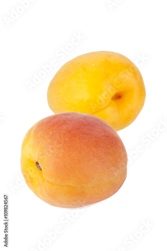 two nectarine fruits